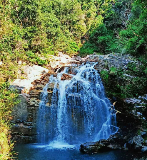 够野你就来——2024中国南酸枣之乡旅游文化音乐节齐云山登山节圆满收官(图11)